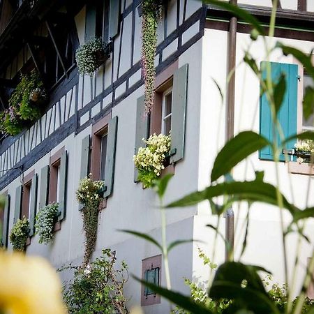 Weingut Alfred Huber Apartment Durbach Exterior photo